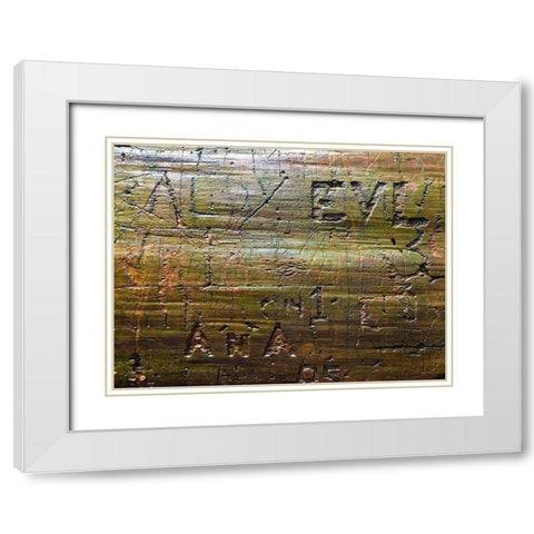 Wood Texture VII White Modern Wood Framed Art Print with Double Matting by Grayscale