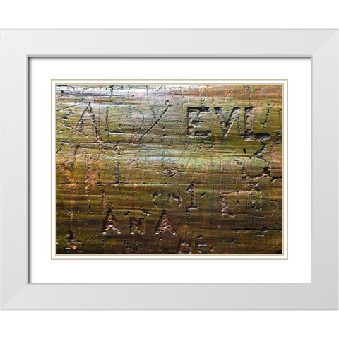 Wood Texture VII White Modern Wood Framed Art Print with Double Matting by Grayscale