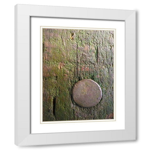 Wood Texture VIII White Modern Wood Framed Art Print with Double Matting by Grayscale
