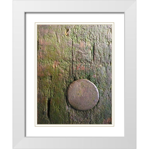 Wood Texture VIII White Modern Wood Framed Art Print with Double Matting by Grayscale