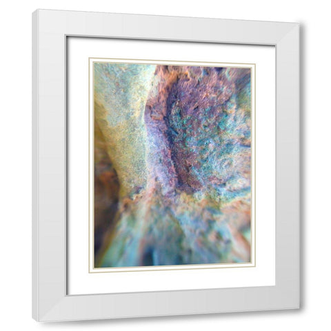 Oxidized Metal I White Modern Wood Framed Art Print with Double Matting by Grayscale