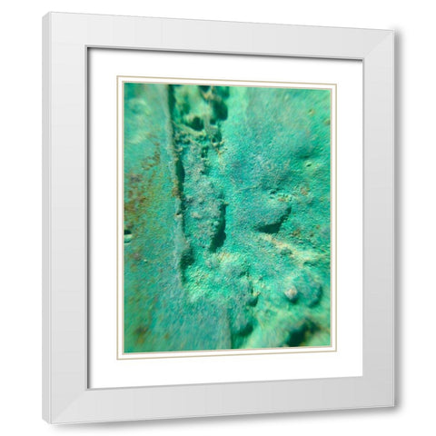 Oxidized Metal II White Modern Wood Framed Art Print with Double Matting by Grayscale