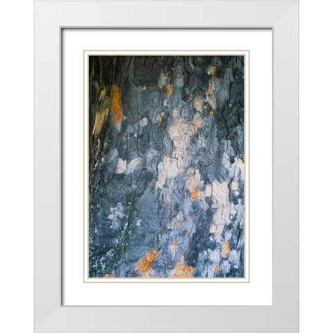 Bark Scales IV White Modern Wood Framed Art Print with Double Matting by Grayscale