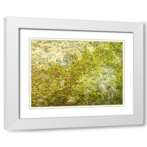 Jade Sand I White Modern Wood Framed Art Print with Double Matting by Grayscale