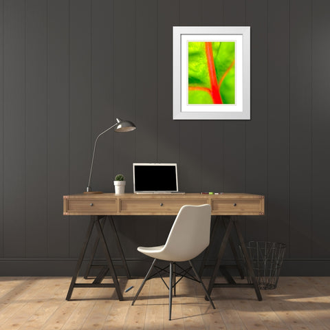 Red Branch I White Modern Wood Framed Art Print with Double Matting by Grayscale