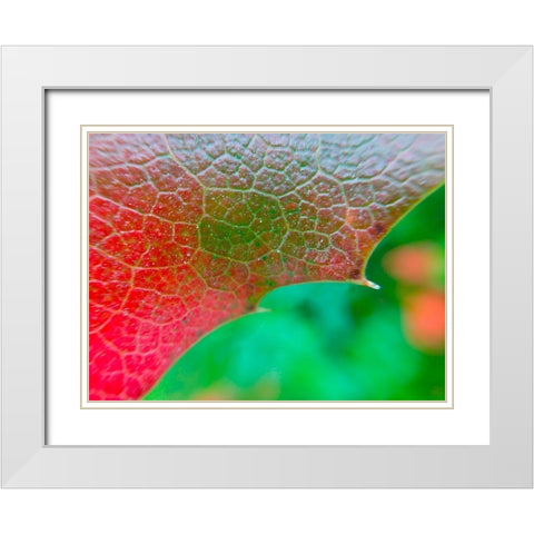 Red Leaf I White Modern Wood Framed Art Print with Double Matting by Grayscale
