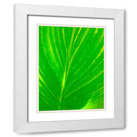 Green Leaf III White Modern Wood Framed Art Print with Double Matting by Grayscale