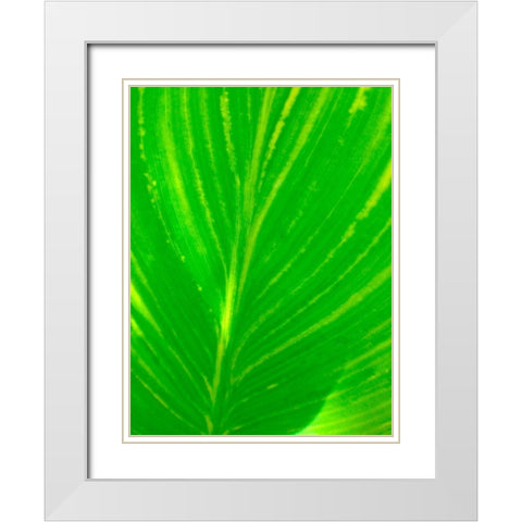 Green Leaf III White Modern Wood Framed Art Print with Double Matting by Grayscale