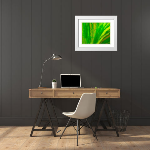 Green Leaf IV White Modern Wood Framed Art Print with Double Matting by Grayscale
