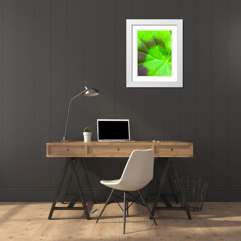 Spiral Leaf I White Modern Wood Framed Art Print with Double Matting by Grayscale