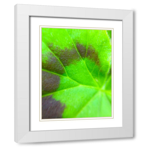 Spiral Leaf I White Modern Wood Framed Art Print with Double Matting by Grayscale