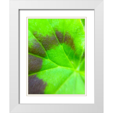Spiral Leaf I White Modern Wood Framed Art Print with Double Matting by Grayscale