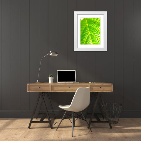 Green Leaf V White Modern Wood Framed Art Print with Double Matting by Grayscale