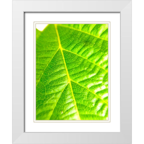 Green Leaf V White Modern Wood Framed Art Print with Double Matting by Grayscale