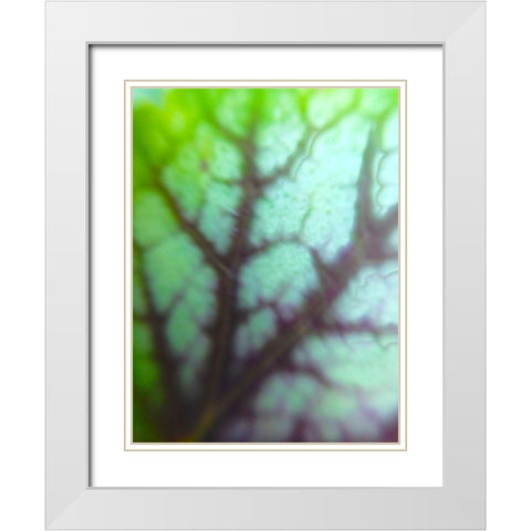 Green Leaf VIII White Modern Wood Framed Art Print with Double Matting by Grayscale