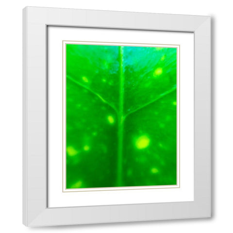Green Leaf IX White Modern Wood Framed Art Print with Double Matting by Grayscale