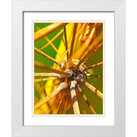 Cactus Spikes I White Modern Wood Framed Art Print with Double Matting by Grayscale