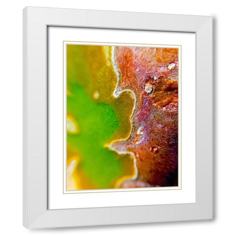 Cactus Edges II White Modern Wood Framed Art Print with Double Matting by Grayscale