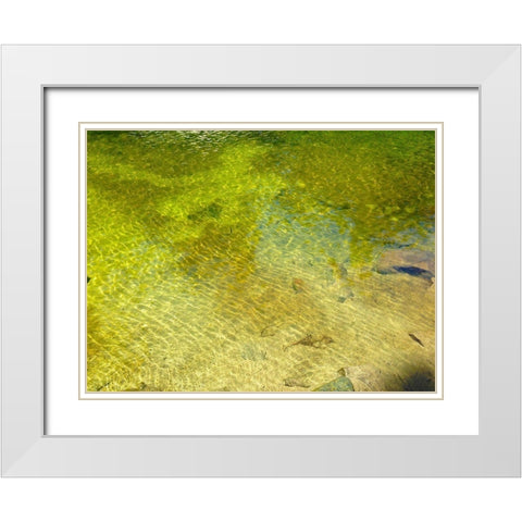 Water Scene I White Modern Wood Framed Art Print with Double Matting by Grayscale