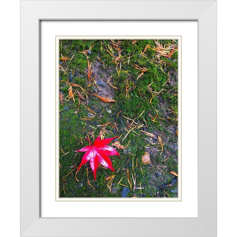 Japanese Maple III White Modern Wood Framed Art Print with Double Matting by Grayscale