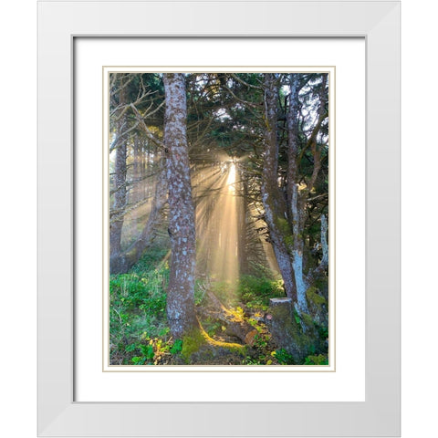 Hobbit Trail II White Modern Wood Framed Art Print with Double Matting by Grayscale