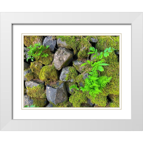 Wall Garden IV White Modern Wood Framed Art Print with Double Matting by Grayscale