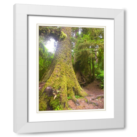 Rainforest II White Modern Wood Framed Art Print with Double Matting by Grayscale