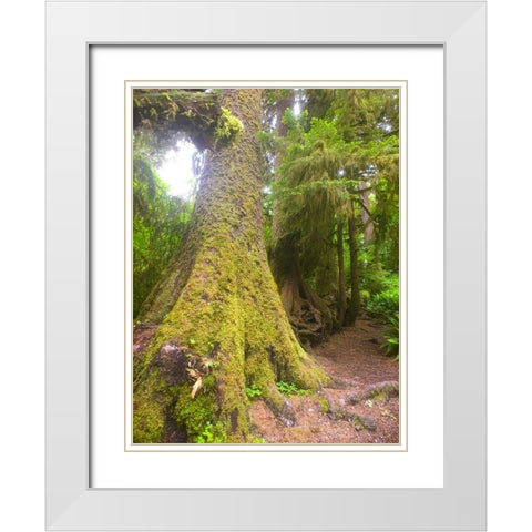 Rainforest II White Modern Wood Framed Art Print with Double Matting by Grayscale