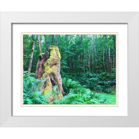Rainforest III White Modern Wood Framed Art Print with Double Matting by Grayscale