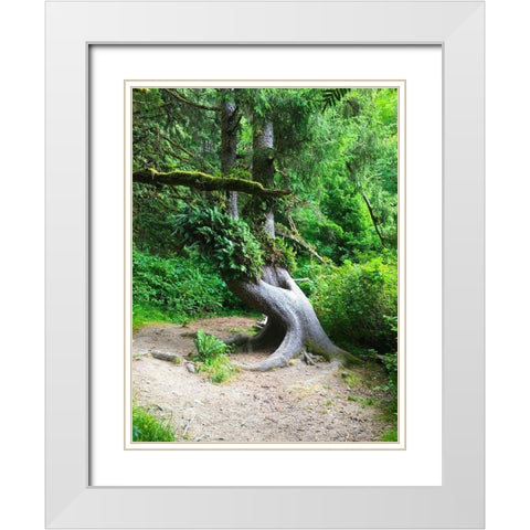 Rainforest IV White Modern Wood Framed Art Print with Double Matting by Grayscale