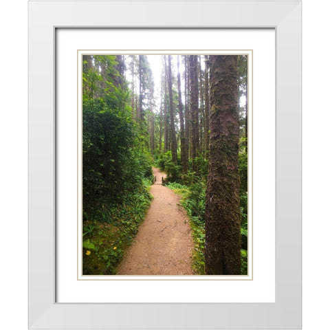Forest Bridge II White Modern Wood Framed Art Print with Double Matting by Grayscale