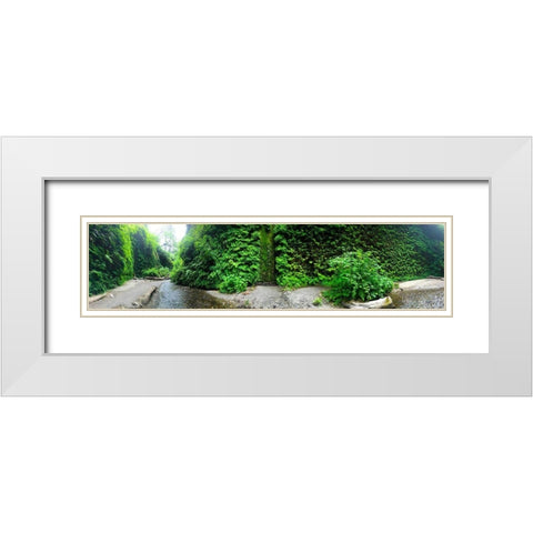 Fern Valley III White Modern Wood Framed Art Print with Double Matting by Grayscale