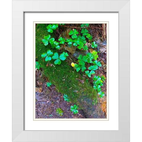 Ground Cover III White Modern Wood Framed Art Print with Double Matting by Grayscale