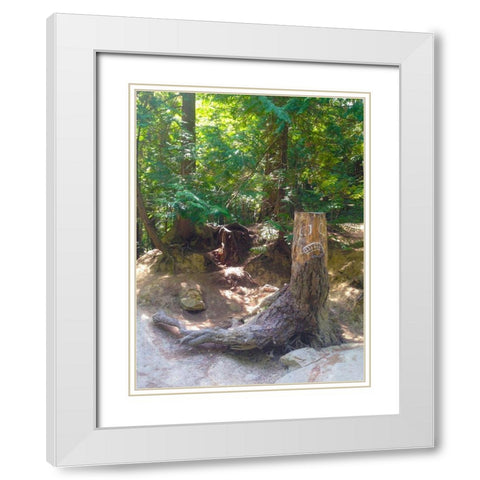 Tree Face I White Modern Wood Framed Art Print with Double Matting by Grayscale