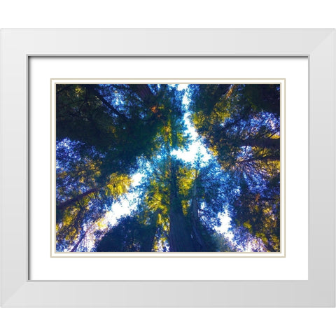 Tree Canopy I White Modern Wood Framed Art Print with Double Matting by Grayscale