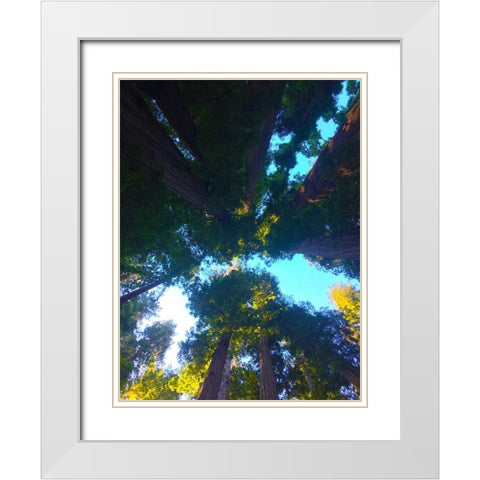 Tree Canopy IX White Modern Wood Framed Art Print with Double Matting by Grayscale