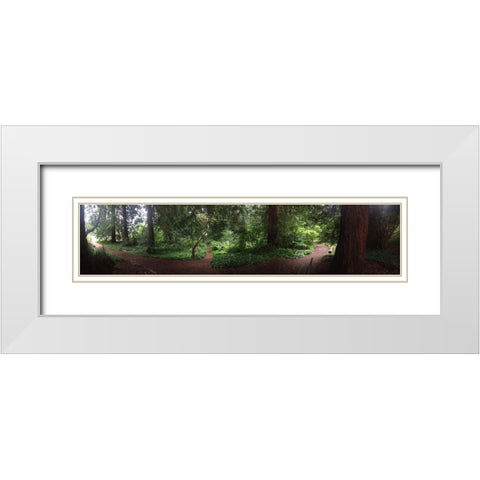 Botanical Garden I White Modern Wood Framed Art Print with Double Matting by Grayscale