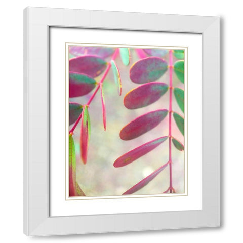 Round Leaves I White Modern Wood Framed Art Print with Double Matting by Grayscale