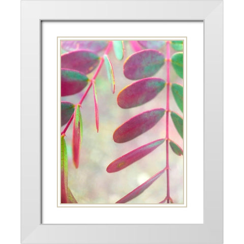 Round Leaves I White Modern Wood Framed Art Print with Double Matting by Grayscale