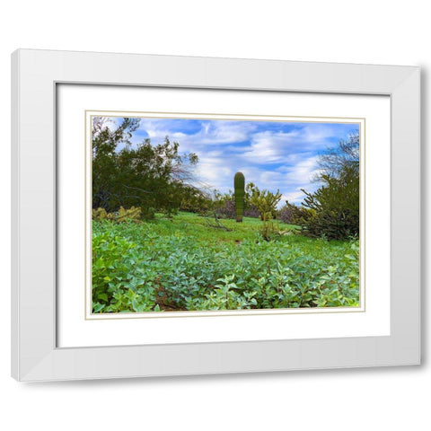 Desert Color II White Modern Wood Framed Art Print with Double Matting by Grayscale