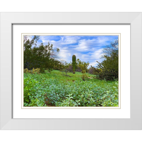 Desert Color II White Modern Wood Framed Art Print with Double Matting by Grayscale