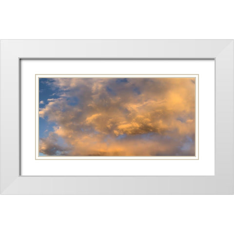 Cloudy Sky II White Modern Wood Framed Art Print with Double Matting by Grayscale