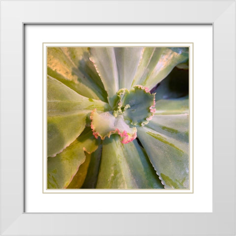 Ribbons IV White Modern Wood Framed Art Print with Double Matting by Grayscale