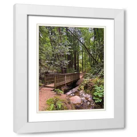 Forest Bridge III White Modern Wood Framed Art Print with Double Matting by Grayscale