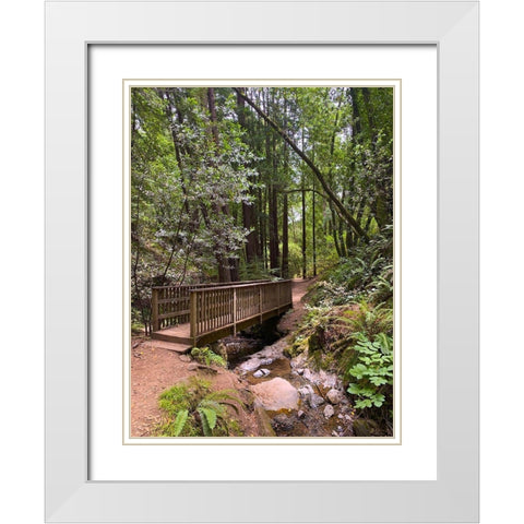 Forest Bridge III White Modern Wood Framed Art Print with Double Matting by Grayscale