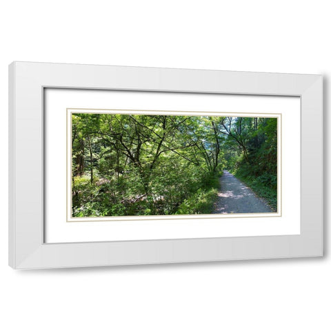 Forest Canopy II White Modern Wood Framed Art Print with Double Matting by Grayscale