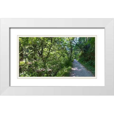 Forest Canopy II White Modern Wood Framed Art Print with Double Matting by Grayscale
