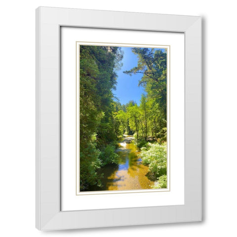 Salmon Stream I White Modern Wood Framed Art Print with Double Matting by Grayscale
