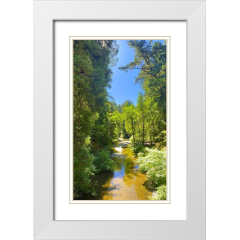 Salmon Stream I White Modern Wood Framed Art Print with Double Matting by Grayscale