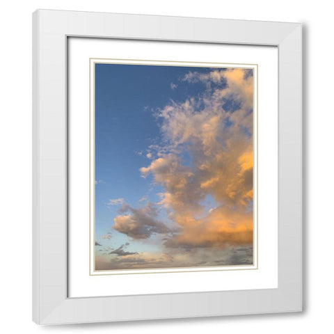 Cloudy Sky XI White Modern Wood Framed Art Print with Double Matting by Grayscale